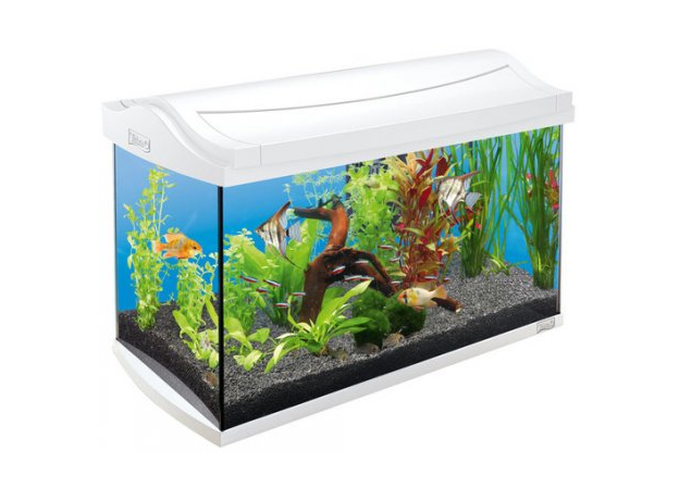 !Аквариум Tetra AquaArt Tropical 60 л, белый