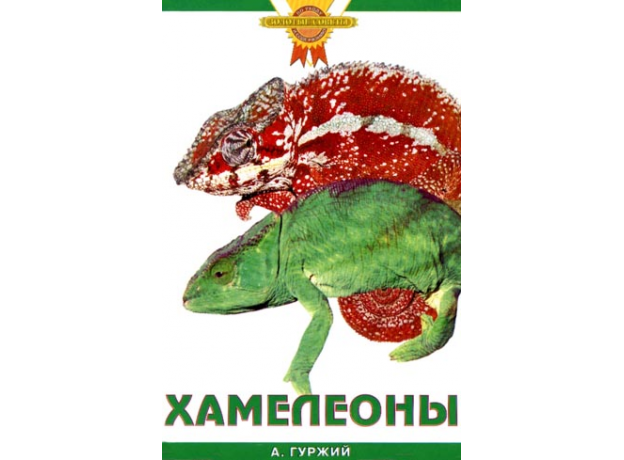 ХАМЕЛЕОНЫ (цвет)