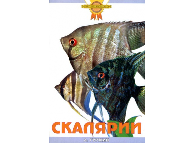 СКАЛЯРИИ (цвет)