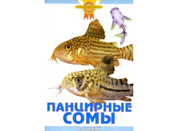 ПАНЦИРНЫЕ СОМЫ (цвет)