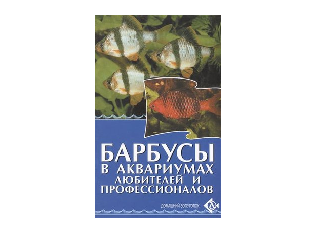 БАРБУСЫ в аквариумах любителей и профессионалов.