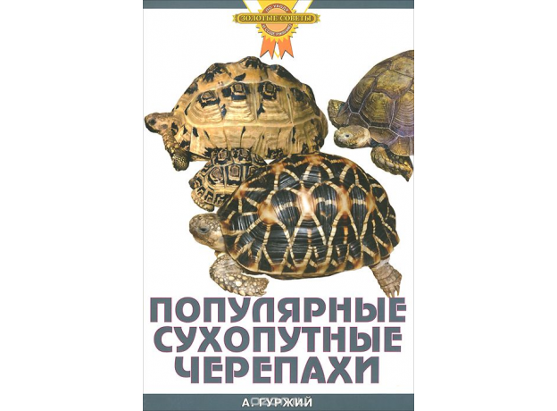 ПОПУЛЯРНЫЕ СУХОПУТНЫЕ ЧЕРЕПАХИ.(цвет)