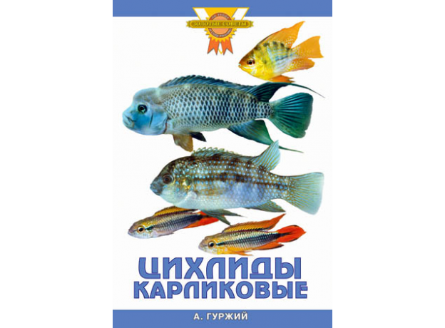 ЦИХЛИДЫ КАРЛИКОВЫЕ (цвет.)