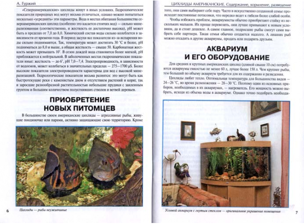 ПРЕСНОВОДНЫЕ СКАТЫ (цвет.)