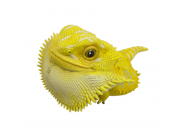 Коллекционная фигурка Бородатая агама желтая (pogona vitticeps yellow) большая