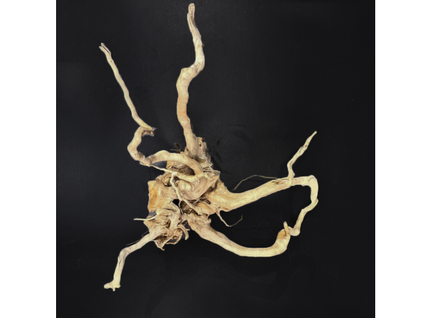 Коряга террариумная AZALEA ROOT (Цена за 1 кг)