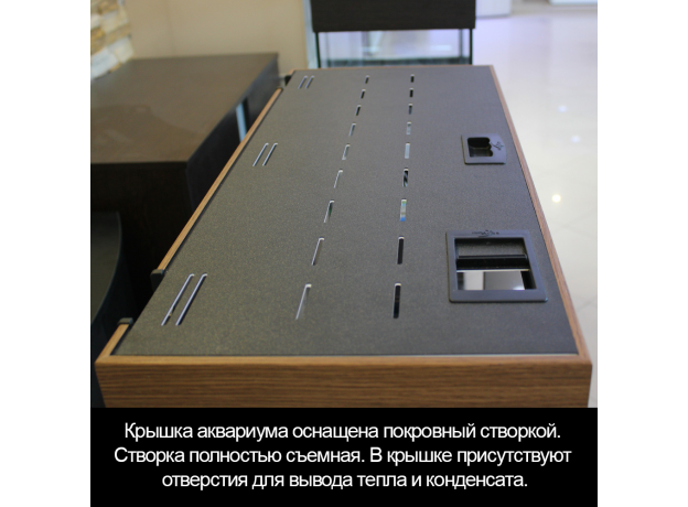 Аквариум Biodesign START-UP 85, белёный дуб, 85 л, 70х30х50 см, свет-к LED 11Вт,шторка д/кормления