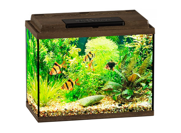Аквариум Biodesign КЛАССИК 20 (золотой орех), 22 л, свет-к LED 6,3W, 660lm, 8000K, 40х22х33 см