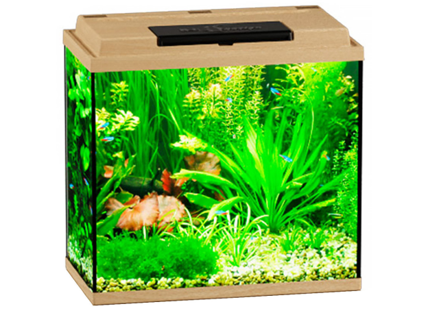 Аквариум Biodesign КЛАССИК 30 (бук) 28л, свет-к LED 6,3W, 40х22х39 см