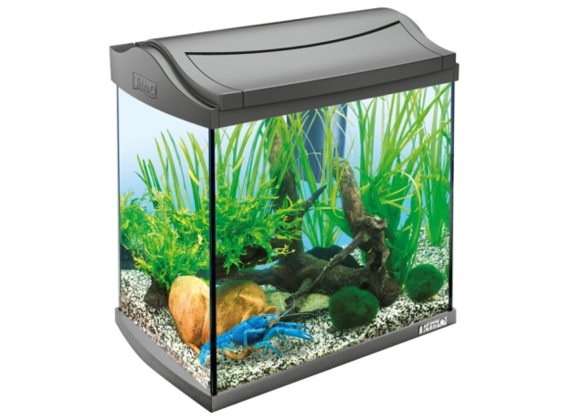 Аквариум Tetra AquaArt Discovery Line Crayfish 30 л, 8 Вт, антрацит (свет Т5)