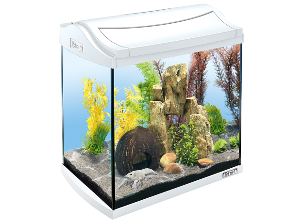 Аквариум Tetra AquaArt LED Discovery Line Crayfish 30 л, 4.8 Вт, белый