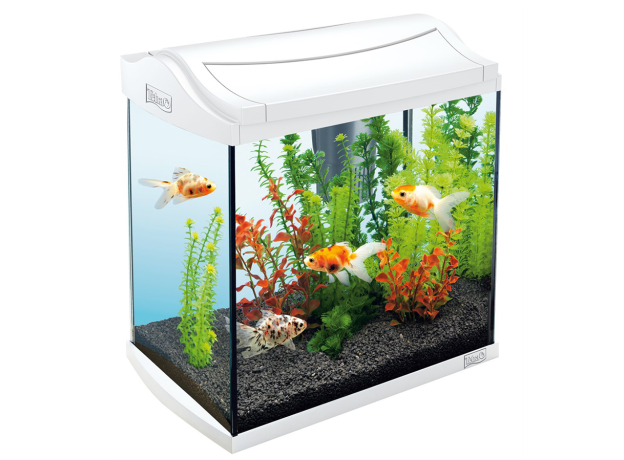 Аквариум Tetra AquaArt LED Discovery Line Crayfish 30 л, 4.8 Вт, белый
