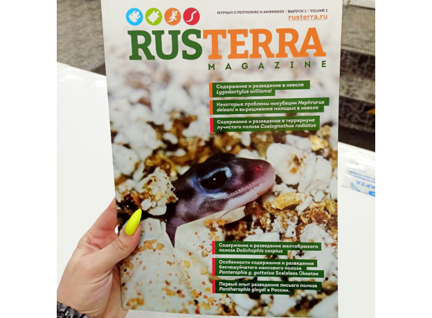 Журнал о рептилиях и амфибиях RUSTERRA Magazine", Выпуск №2