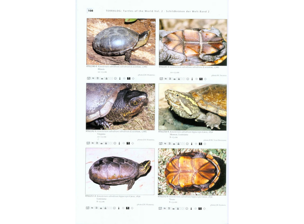 Holger VETTER TL 02 Schildkröten der Welt Band 2 – Nordamerika 2004