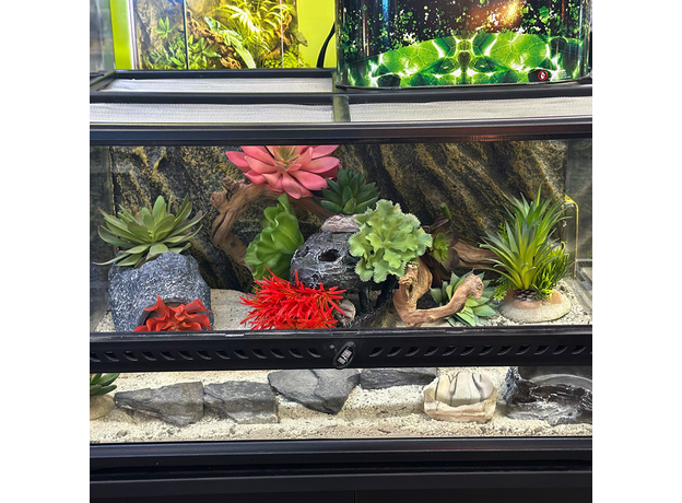 Террариумный комплект "Фрида" Террариумный комплект "Фрида"