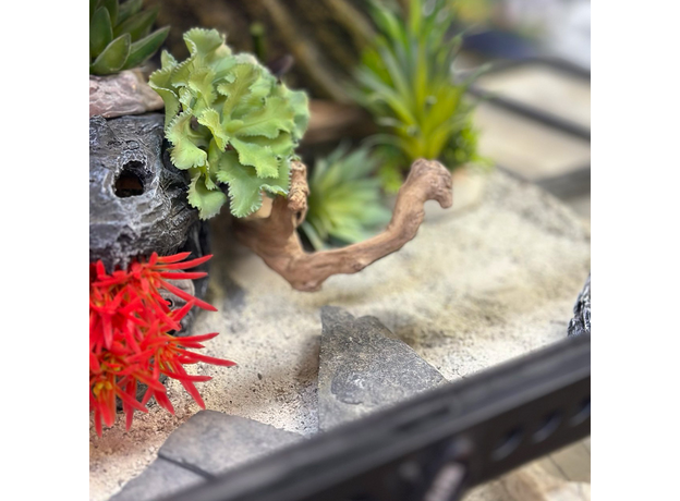 Террариумный комплект "Фрида" Террариумный комплект "Фрида"