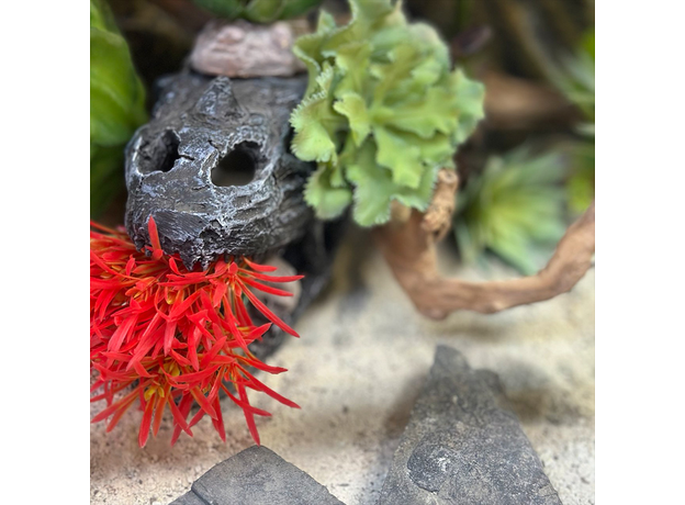 Террариумный комплект "Фрида" Террариумный комплект "Фрида"