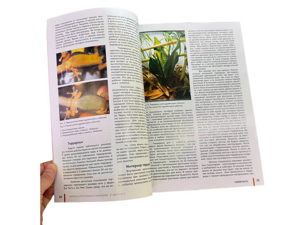 Журнал о рептилиях и амфибиях RUSTERRA Magazine", Выпуск №2