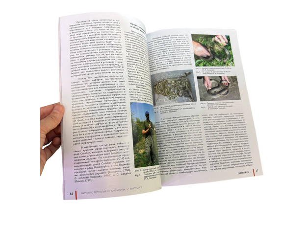 Журнал о рептилиях и амфибиях RUSTERRA Magazine", Выпуск №2