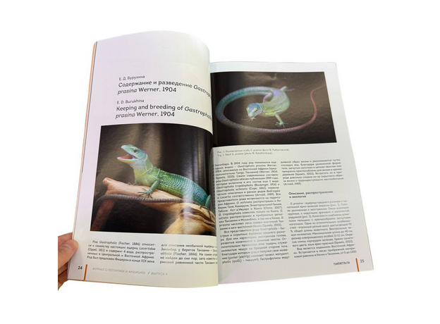 Журнал о рептилиях и амфибиях RUSTERRA Magazine", Выпуск №4