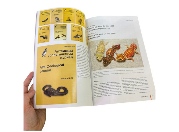 Журнал о рептилиях и амфибиях RUSTERRA Magazine", Выпуск №4