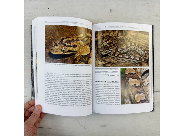 Henry BELLOSA & Hans BISPLINGHOF Rainbow Boas. Natural History & Captive Husbandry 2012