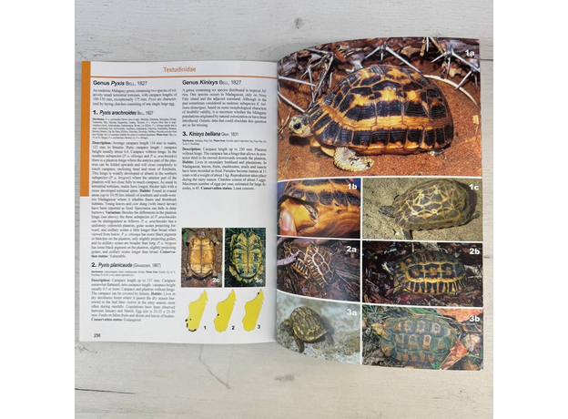 Glaw Amphibians and Reptiles of Madagascar 2007