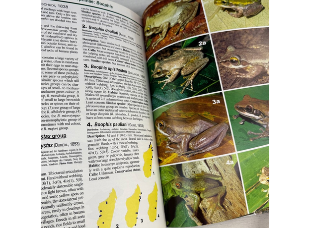 Glaw Amphibians and Reptiles of Madagascar 2007