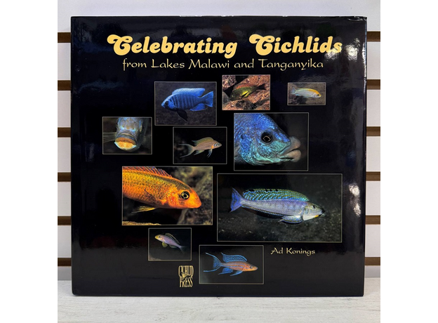 Celebrating Cichlids from Lakes Malawi and Tanganyika