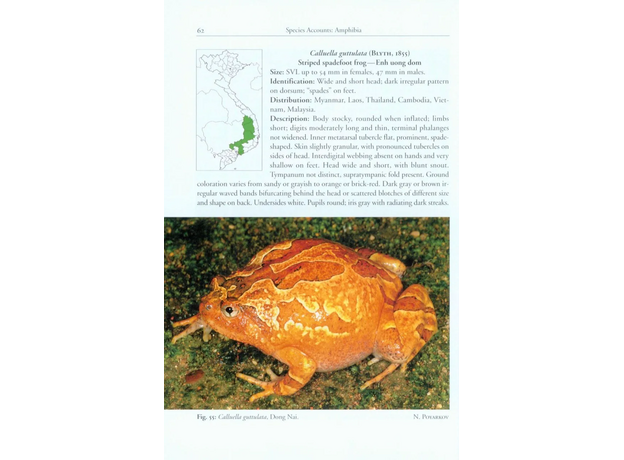 Vasilieva et al Amphibians and Reptiles of Southern Vietnam 2016