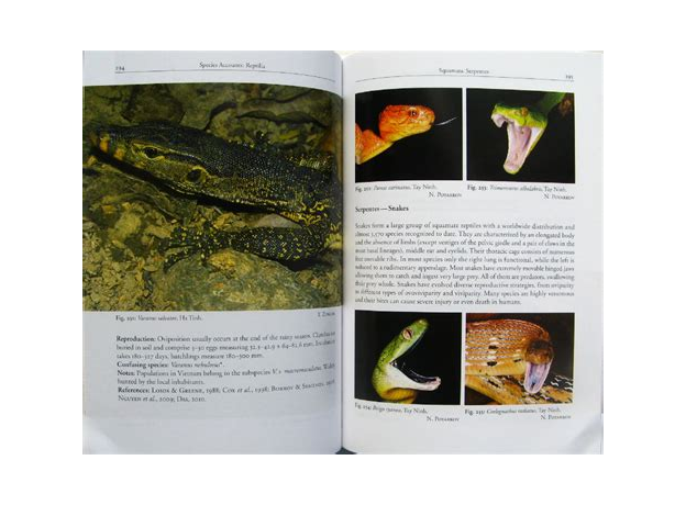 Vasilieva et al Amphibians and Reptiles of Southern Vietnam 2016