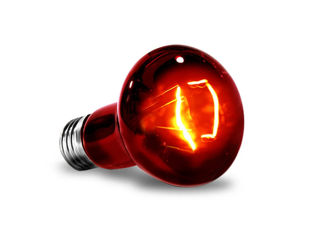 MCLANZOO Инфракрасная лампа "Infrared Heat", 25Вт, Е27, R63
