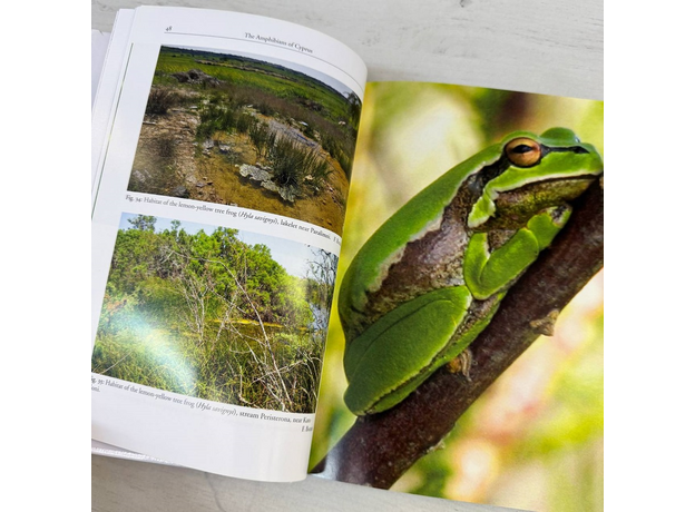 Felix BAIER et al. Amphibians and Reptiles of Cyprus 2013