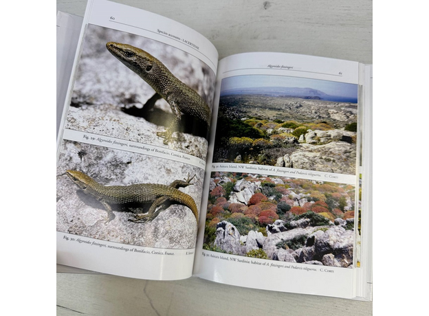 Claudia CORTI & Pietro LO CASCIO The Lizards of Italy and Adjacent Areas 2002