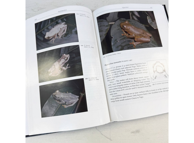 Arne SCHIØTZ Treefrogs of Africa 1999