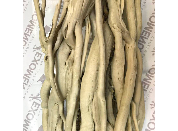 Декор из лианы плюща 40-60 x 30-40