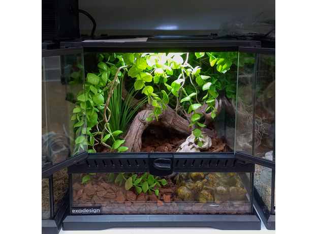 Террариумный комплект "Мирквуд" Террариумный комплект "Мирквуд"