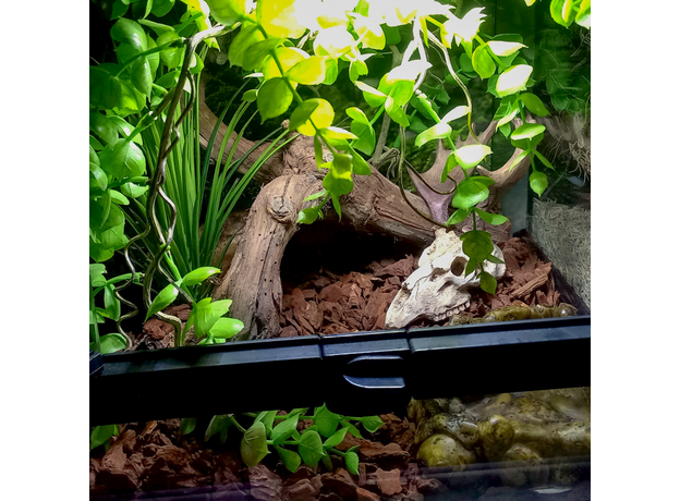 Террариумный комплект "Мирквуд" Террариумный комплект "Мирквуд"