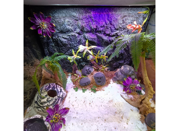 Террариумный комплект для животного (ТАИНСТВЕННЫЙ ОСТРОВ) Террариумный комплект для животного (ТАИНСТВЕННЫЙ ОСТРОВ)