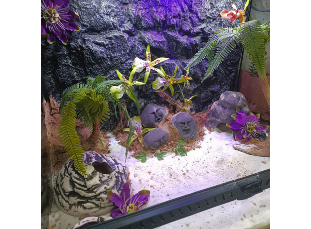 Террариумный комплект для животного (ТАИНСТВЕННЫЙ ОСТРОВ) Террариумный комплект для животного (ТАИНСТВЕННЫЙ ОСТРОВ)