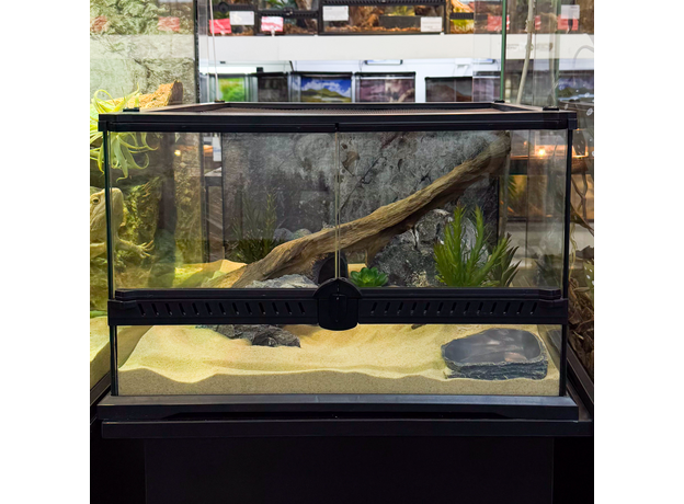 Террариумный комплект "Земли теней" Террариумный комплект "Земли теней"