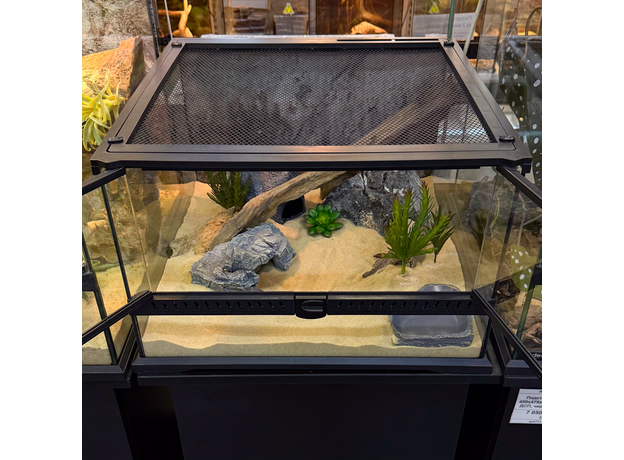 Террариумный комплект "Земли теней" Террариумный комплект "Земли теней"