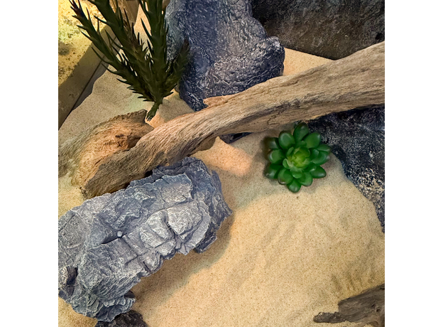 Террариумный комплект "Земли теней" Террариумный комплект "Земли теней"