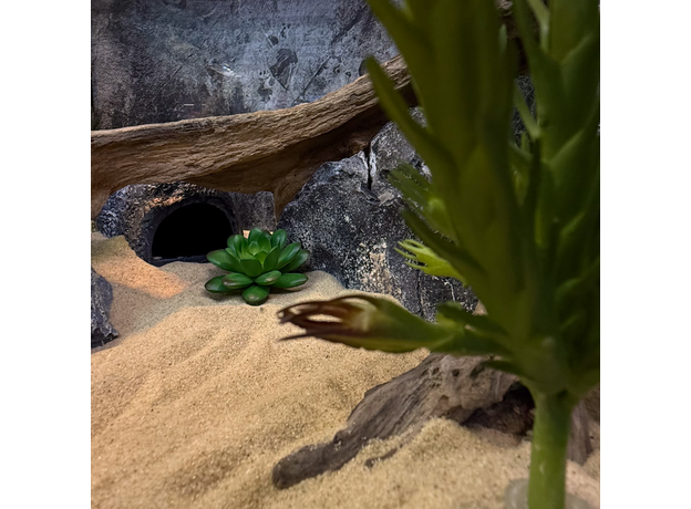 Террариумный комплект "Земли теней" Террариумный комплект "Земли теней"