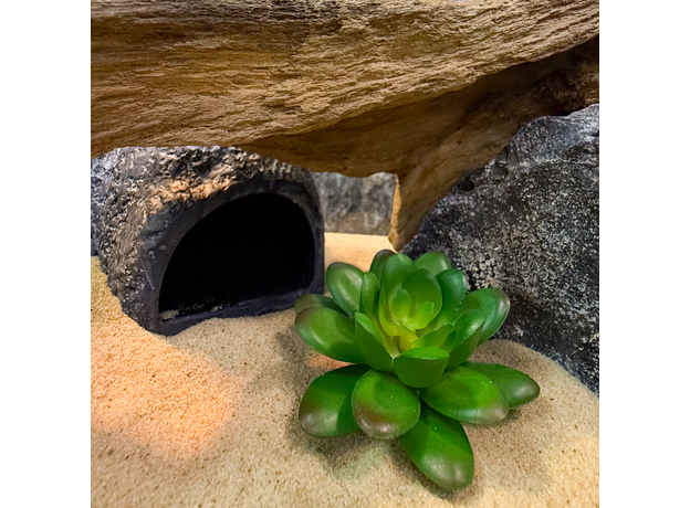 Террариумный комплект "Земли теней" Террариумный комплект "Земли теней"