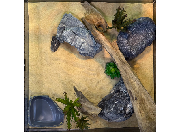 Террариумный комплект "Земли теней" Террариумный комплект "Земли теней"