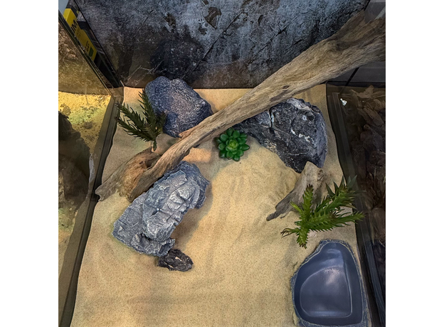 Террариумный комплект "Земли теней" Террариумный комплект "Земли теней"