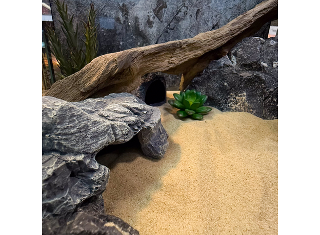 Террариумный комплект "Земли теней" Террариумный комплект "Земли теней"