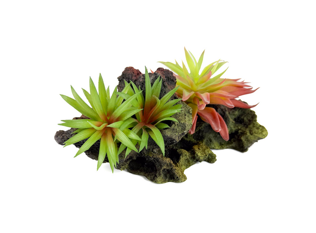 Декорация Риф с растениями 20х10х10