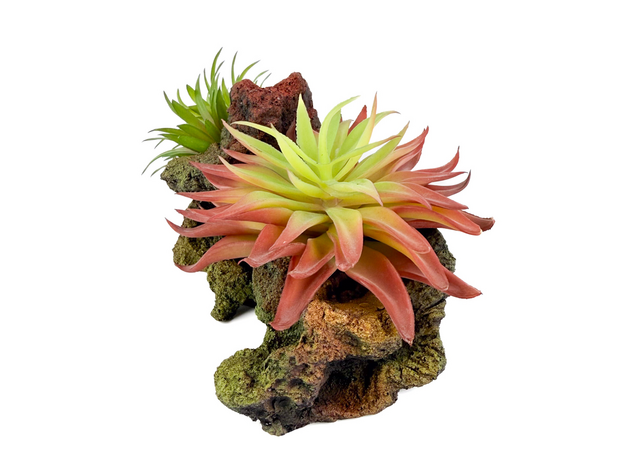 Декорация Риф с растениями 20х10х10